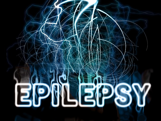 picture of the brain showing epilepsy