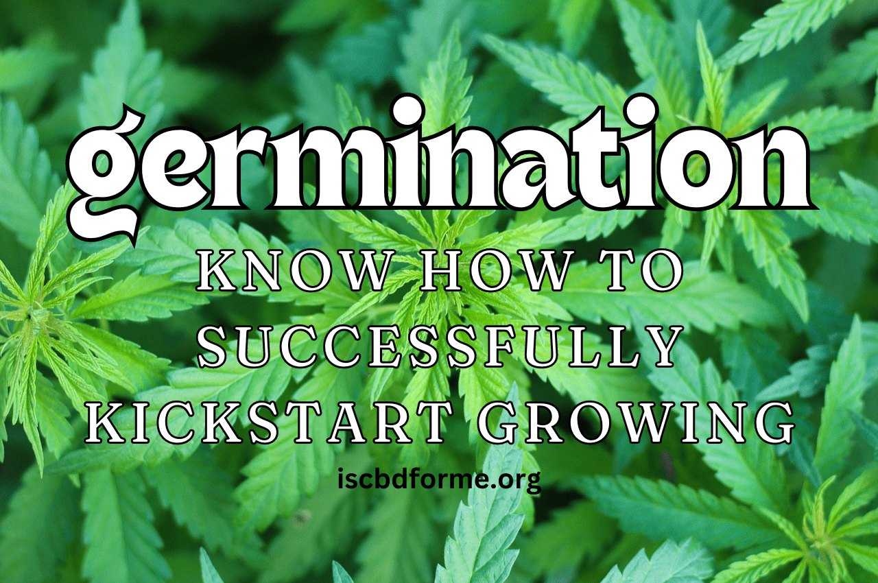 Germination: Know how to Successfully Kickstart Growing