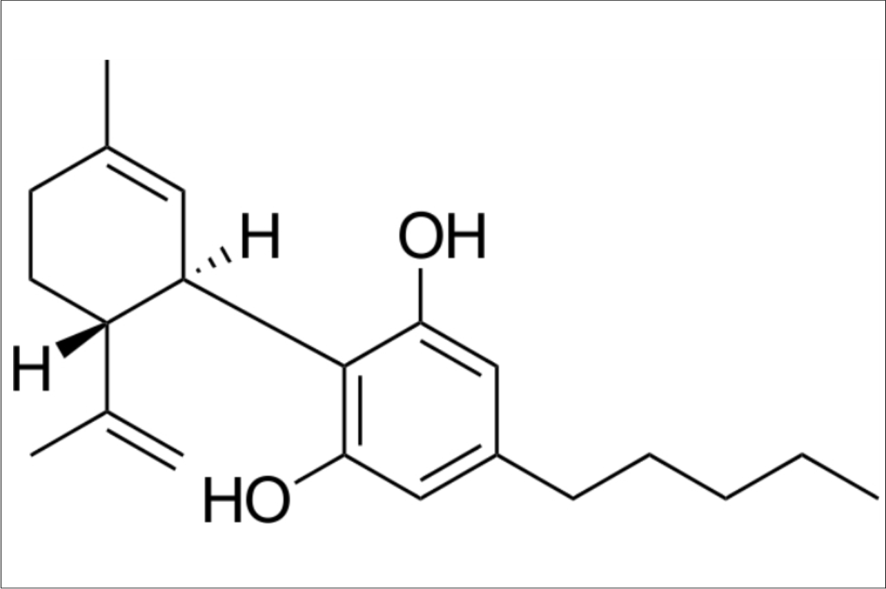 The Reasons Why CBD Oil Hybrid is So Popular: Try Now