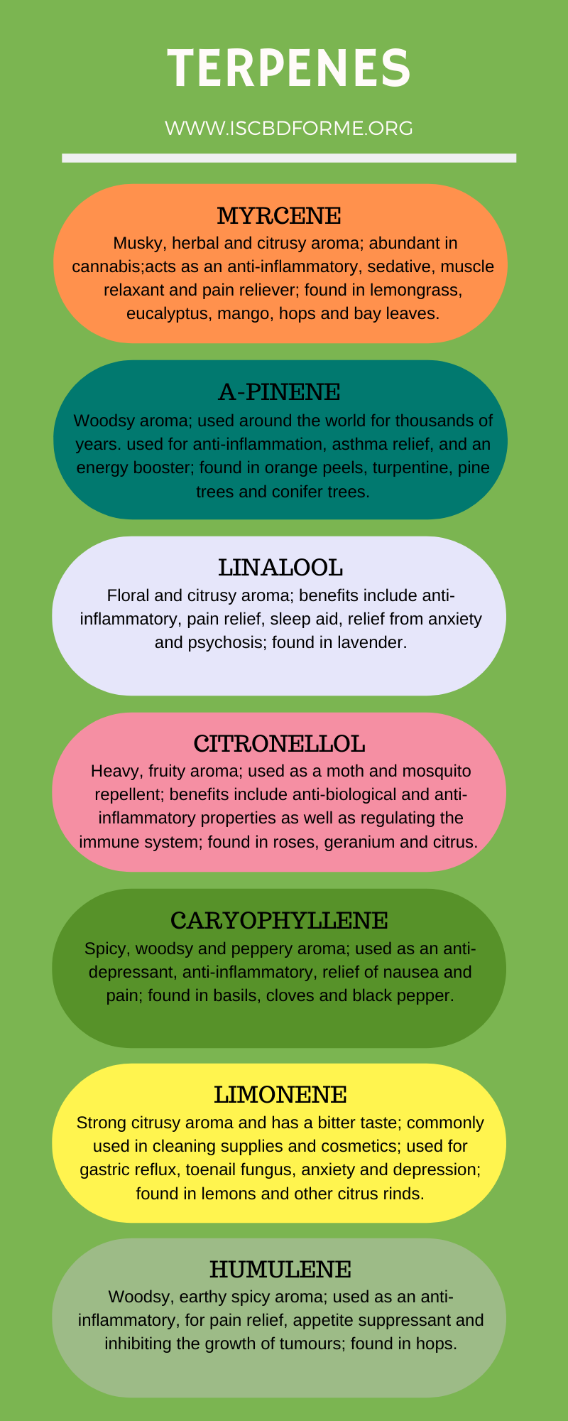 TERPENES IN CBD