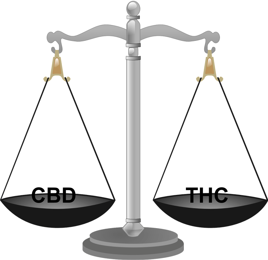 The Differences Between CBD And THC: What Makes It Important