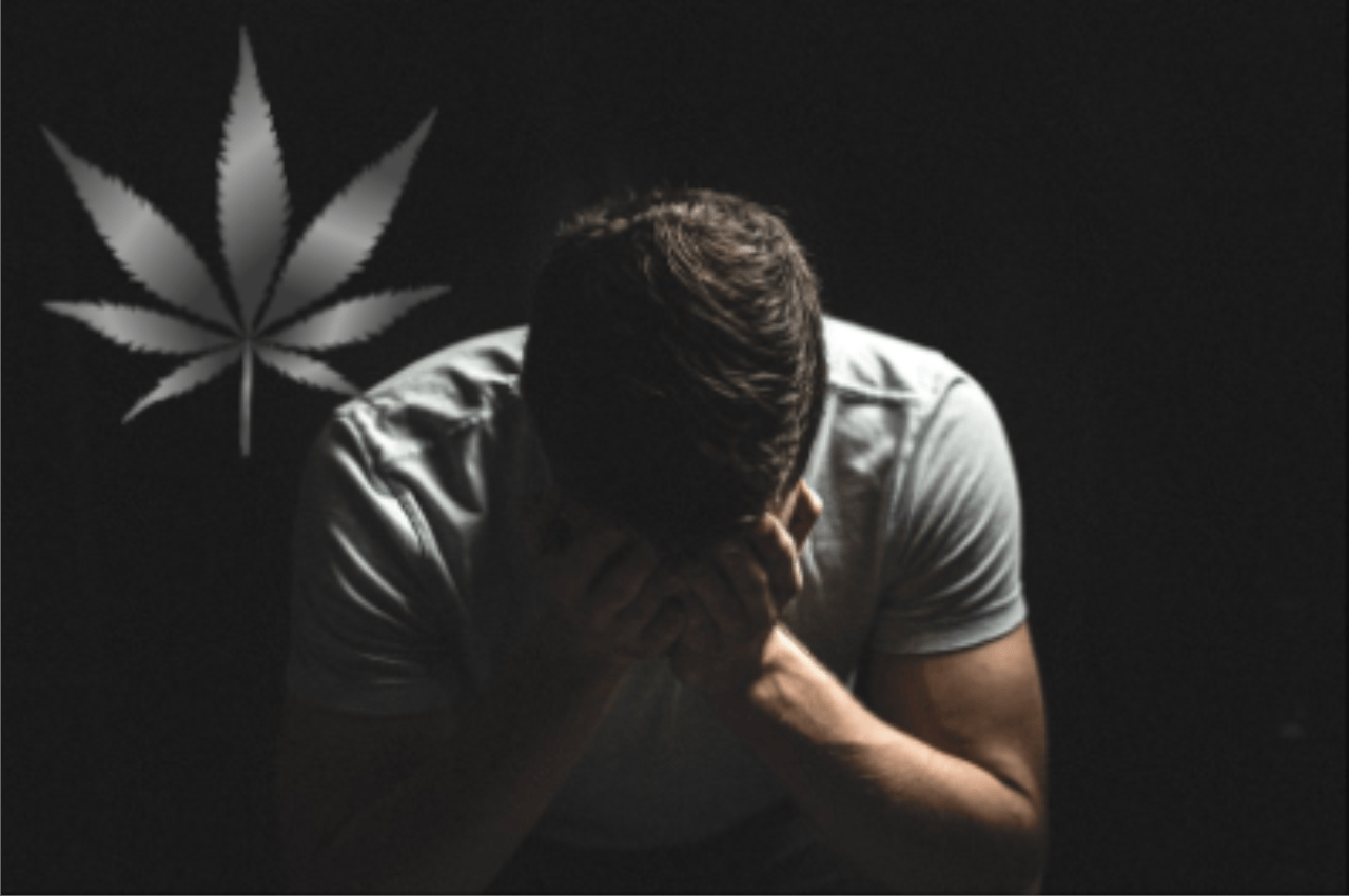 CBD - Anxiety and the Holidays