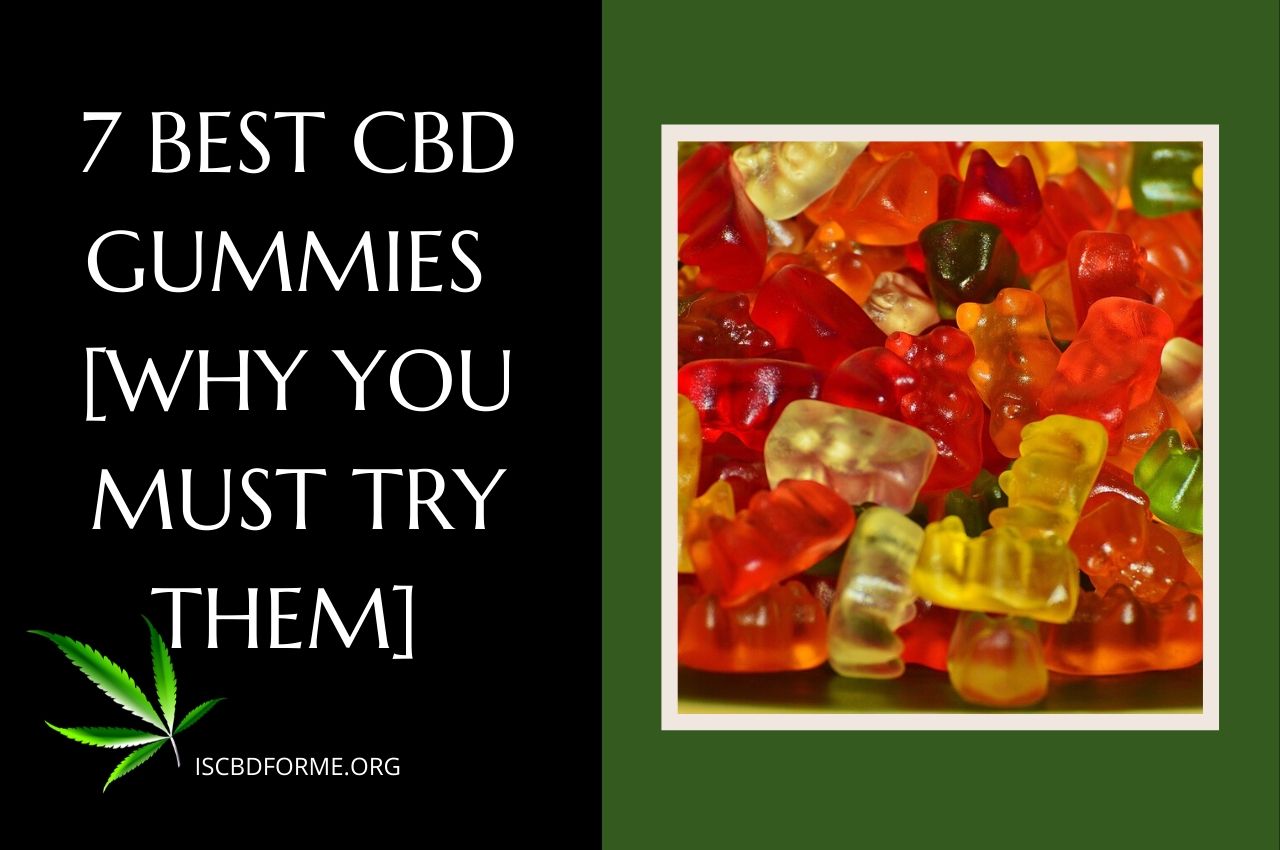 7 Best CBD Gummies [why you must try them]