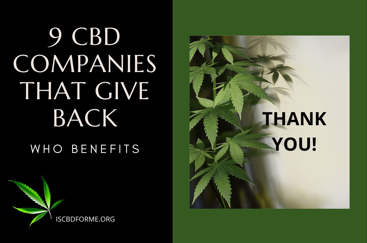 9 CBD Companies That Give Back [Who Benefits?]