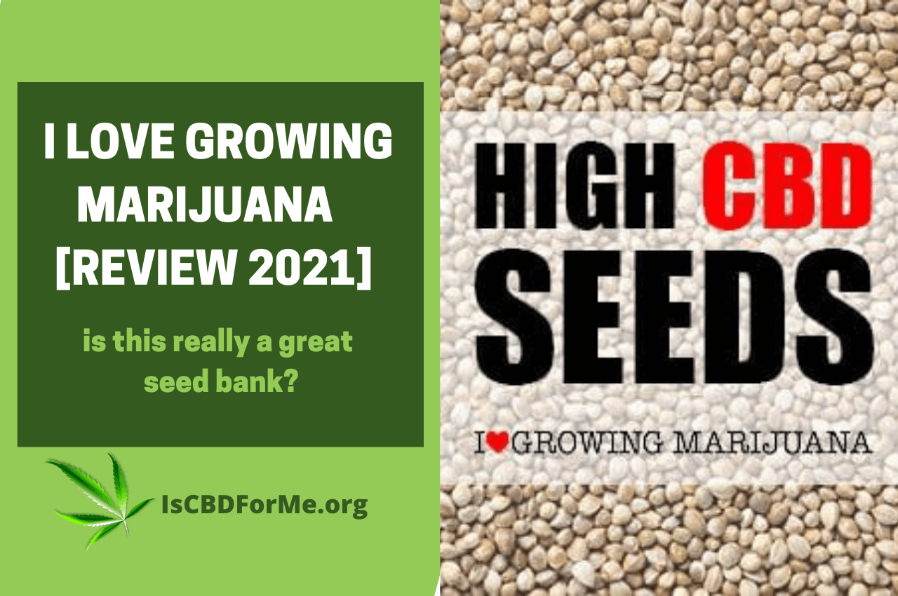 I Love Growing Marijuana [Review 2021]