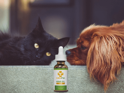CBD Oil, Dog and Cat