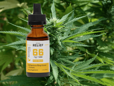 CBD Oil