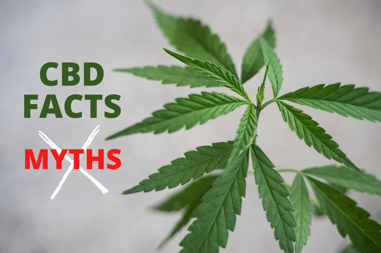 Myths About CBD - What\s really true