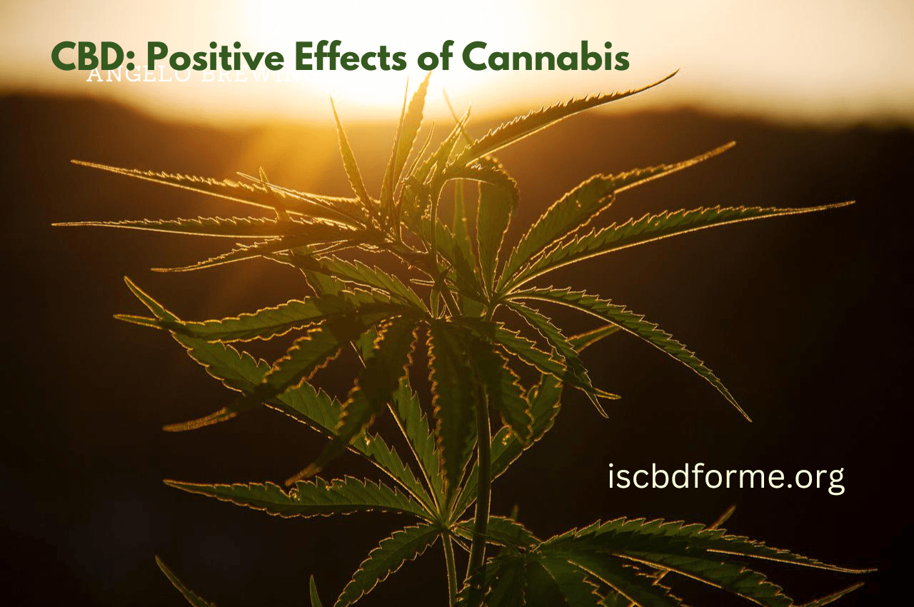 CBD: Positive Effects of Cannabis