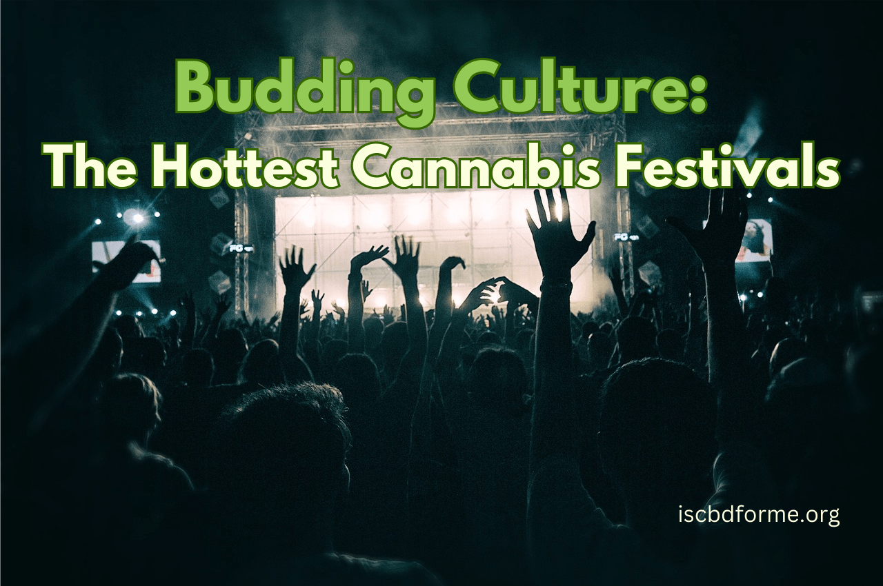 Ultimate Guide to Cannabis Festivals: What You Need to Know