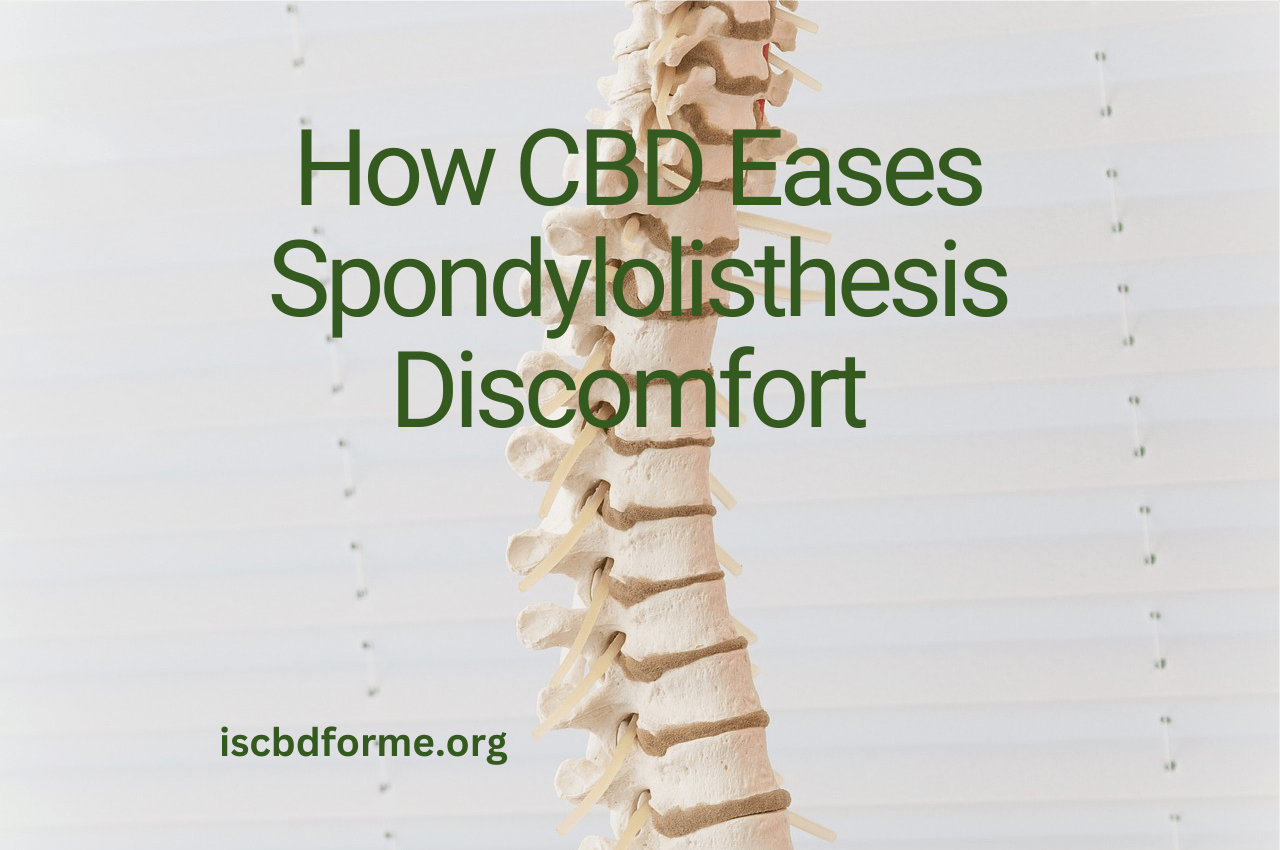 How CBD Eases SpondylolisthesisDiscomfort