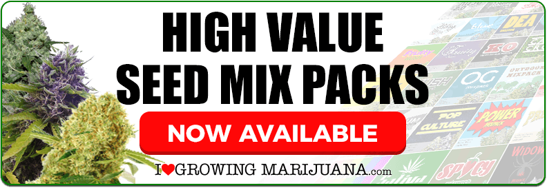 Mixed Cannabis Seed Packs