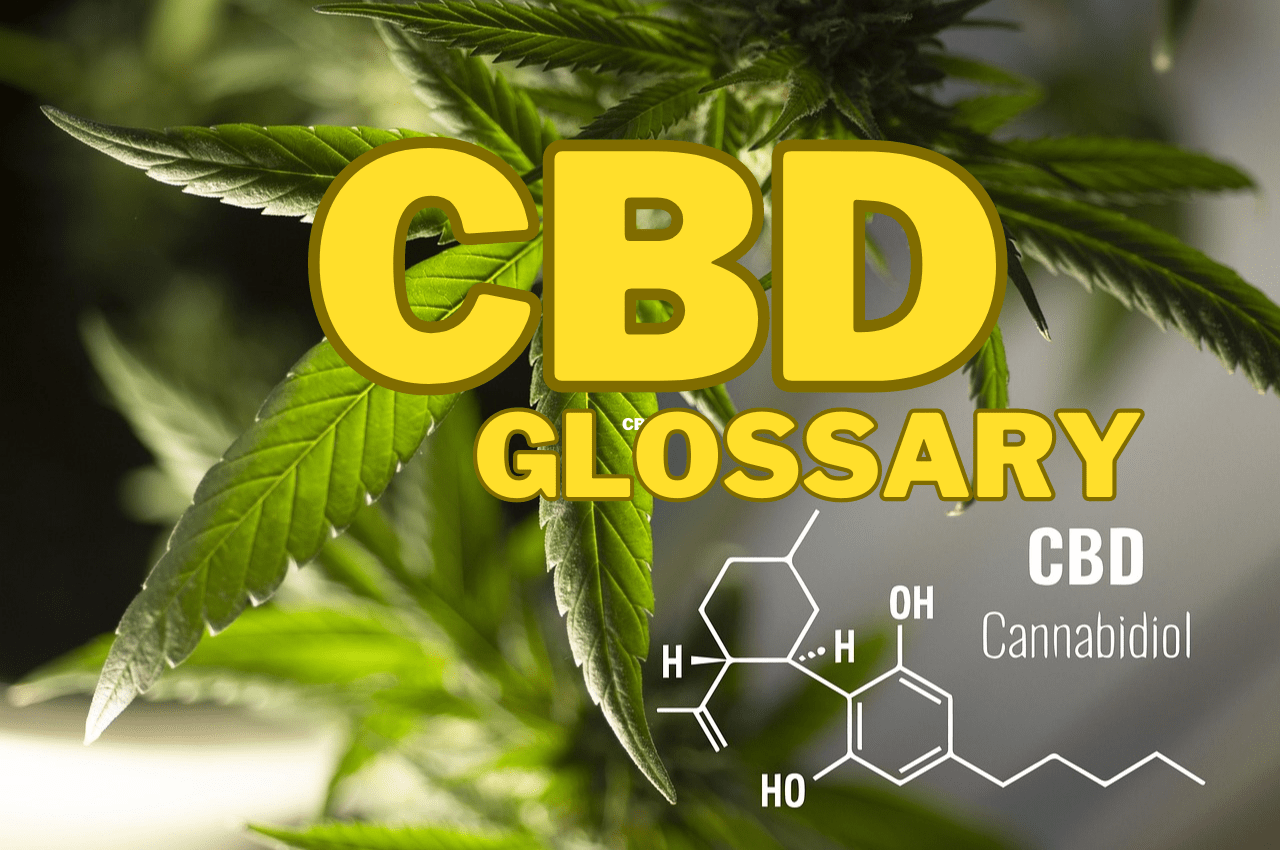 The Ultimate CBD Glossary: Everything You Need to Know