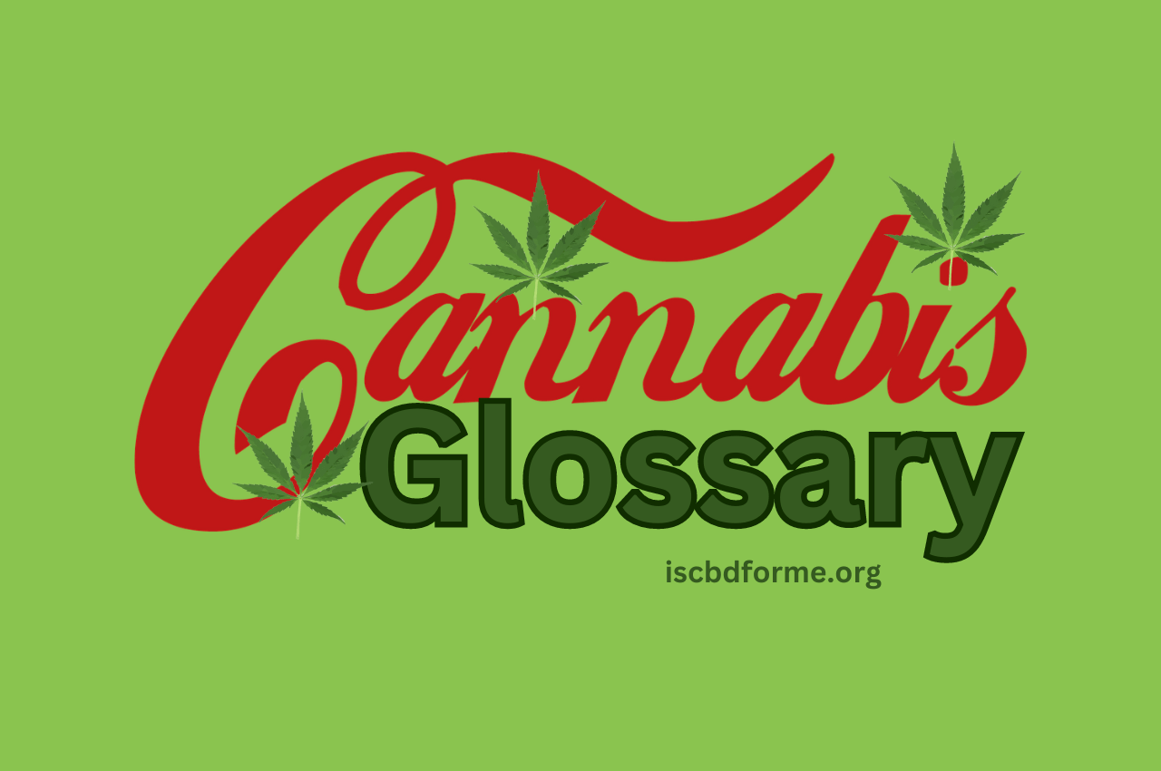 The Ultimate Cannabis Glossary: Everything You Need to Know